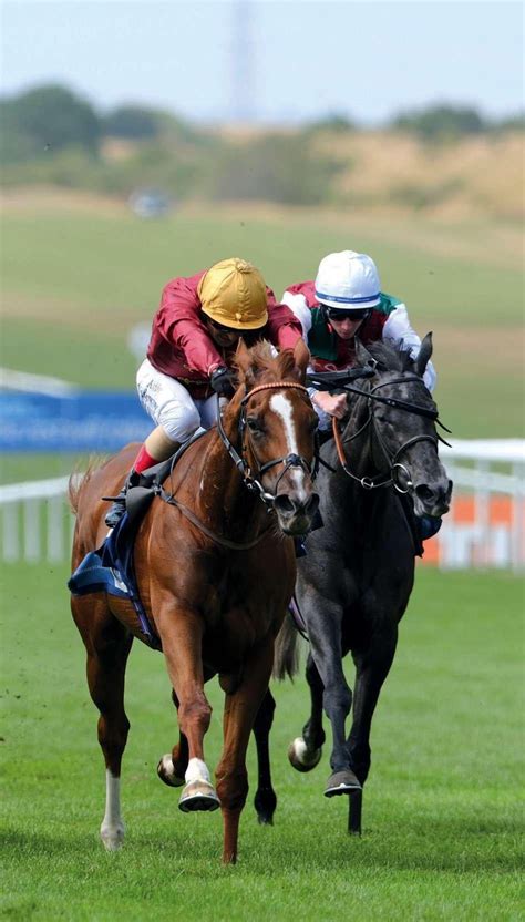 race card newmarket saturday.